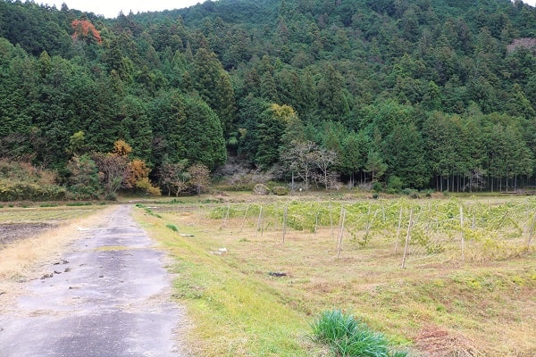 鬼が落とした大石までの農道