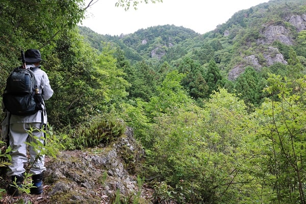 権現山