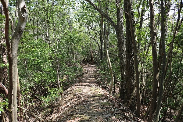 高澤古道